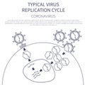 Typical virus replication cycle. Coronavirus 2019-nCoV infographic